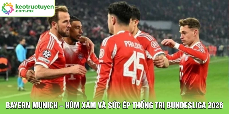 Bayern Munich – Hùm Xám Và Sức Ép Thống Trị Bundesliga 2026