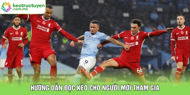 Hướng dẫn đọc kèo cho người mới tham gia