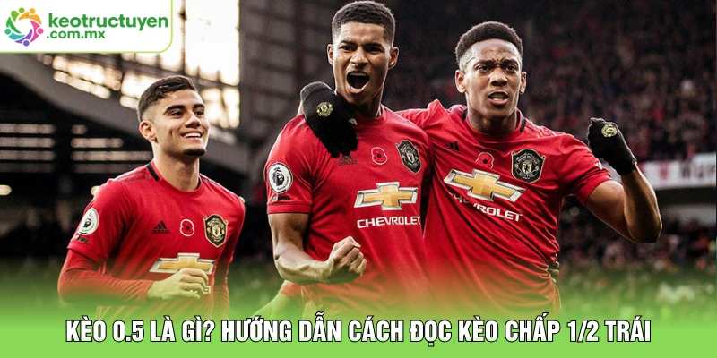 Kèo 0.5 Là Gì? Hướng Dẫn Cách Đọc Kèo Chấp 1/2 Trái
