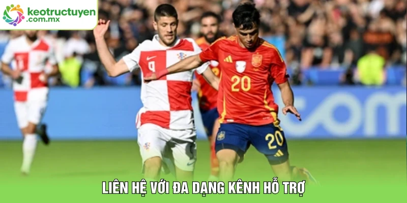 Liên hệ với đa dạng kênh hỗ trợ