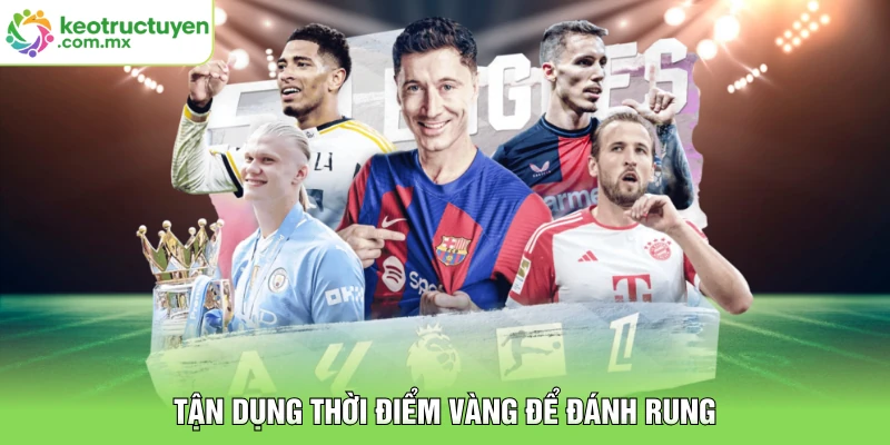 Tận dụng thời điểm vàng để đánh rung